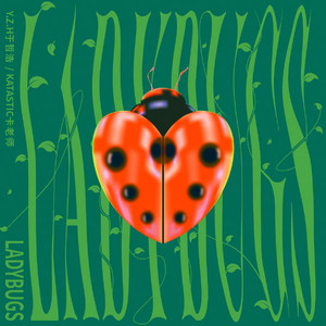 污视频免费限时观看
