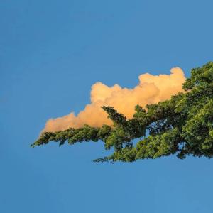 污视频免费限时观看
