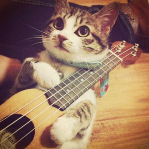 污视频免费限时观看
